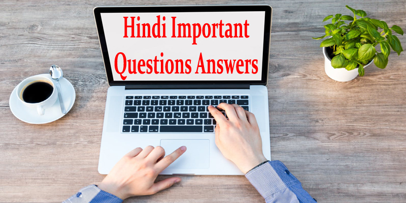 Hindi important questions answers
